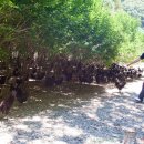 학자농원 이미지