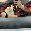 어반노이즈 이미지