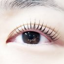 EYE.L 속눈썹 입니다~~♡ 이미지