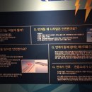 [제주 번개과학체험관] 비 오는 날 대기 없이 쾌적하게 즐기는 실내 스팟 &amp; 테슬라 코일 관람 팁