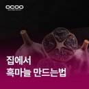 마늘집 티스토리