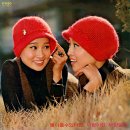 가지를 마오 / 바니걸즈 (1975) 이미지