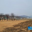 보평농장 이미지