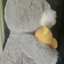 호계현대(아)경로당 | [임신준비기록2]하나방사선과 나팔관조영술(통증정도, 예약, 유의사항)