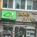 강생이천국 이미지