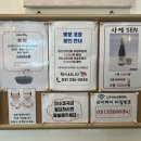 차니스시
