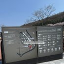 시민꽃화원 자판기 | 경주 실내 가볼 만한 곳 라원 디지털 식물원 힐링 전시 후기