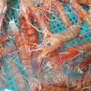 횟집도화 이미지