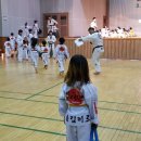 송림미르태권도장 이미지