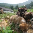 우화농장 이미지