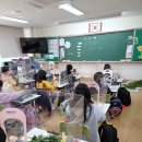 포항해맞이초등학교 이미지