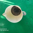 애니카랜드(오류점) 이미지