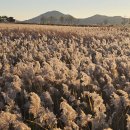 화려한휴식 | 어느 은퇴자의 생각(2편) 드라마 "화려한 날들" 종방 시청후기.