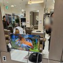 (주)페이플러스 | 상봉미용실, 이가자헤어비스 상봉홈플러스점 프리미엄 모도스 클리닉 채윤 디자이너 후기