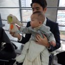 주안앤컴퍼니 | [육아용품] 남자아기 애착인형 / 감각발달 :: 니키 엘리던비 애착인형