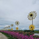 정암자동차 | 의령 여행 가볼만한곳 정암루 솥바위