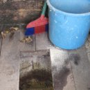 안산이농장 이미지