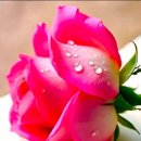 More Than I Can Say - Leo Sayer 이미지