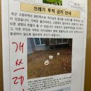 림스치킨가야점 | 인스타 삭제해도 일상에 아무문제 없다