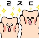 이수헤어 이미지
