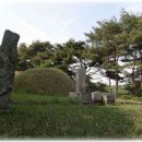 삼한국대부인순흥안씨묘 이미지