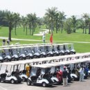 루비트리 이미지