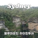 블루캐년 | 시드니 투어추천 블루마운틴 그랜드캐년 하이킹투어 예약 후기 가격 (+4월 할인코드)