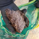 영농조합법인 더듬이 이미지