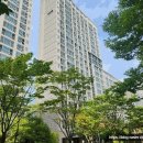 보람동_보람초등학교 앞 정류장 | [호려울마을10단지 경매] 세종시 보람동 아파트 경매물건 2025타경503061