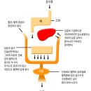 당뇨병에는 운동과 체중 조절이 필수 이미지