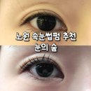 노원 상계 속눈썹펌 눈의숲 후기