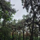 세븐일레븐 인천소래풍림점 | 인천 둘레길 5코스 (만월산.. 만수산) 만수산 도룡뇽 마을 2026년 1월까지 폐쇄