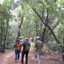 우면산3-18 이미지