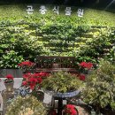 서울숲 곤충식물원 화장실 | 서울숲 식물원 방문후기 주차 운영시간 안내