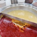 초원기름고추 이미지