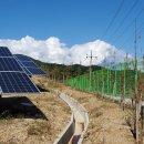 제일태양광발전소 이미지