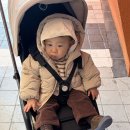 도현목장 네이버블로그
