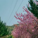 둔기마을 이미지