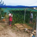 민영농장 이미지