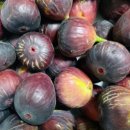 짐투짐 여성전용 PT 이미지