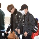 디오펫샵 이미지