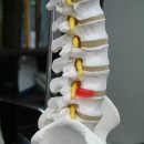 허리인한의원 이미지