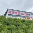 홍식농장 | 넓은 실내운동장이 있는 :: 자유로멍놀러와 애견테마파크 방문후기