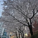 지에스(GS)25 도봉방학천 | 오로지 블챌을 위한 30문답 - 2