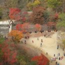 황제원