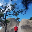 송추미가 이미지