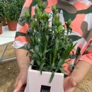 성주목장 이미지