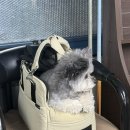 또와당구장 이미지