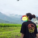 찾아가는 영화관 <오. 헐리우드> 2. | 서울살이 392일차 탈임상 사무직 간호사 여름휴가를 곁들인 일상 기록