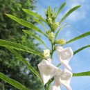 만재농장 이미지